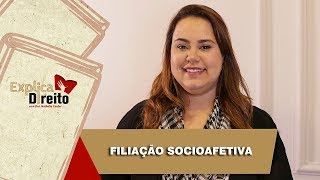 Explica Direito Filiação Socioafetiva  2019 [upl. by Lissy405]